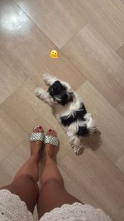 Fabrizia Santarelli feet photo 19