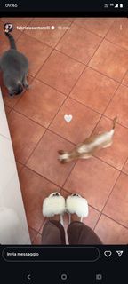 Fabrizia Santarelli feet photo 19