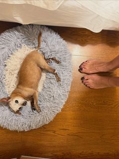 Fabrizia Santarelli feet photo 16