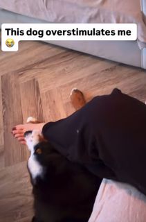 Faith Kelly feet photo 9