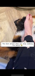 Faith Kelly feet photo 7