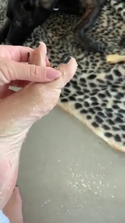 Fajah Lourens feet photo 13