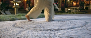 Fala Chen feet photo 13