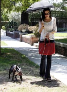 Famke Janssen feet photo thumbnail