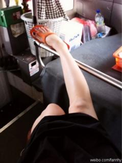 Fann Wong feet photo 11