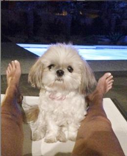 Farah Fath feet photo 5