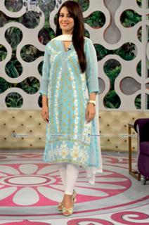 Farah Hussain feet photo 19