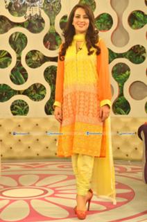 Farah Hussain feet photo 16