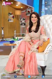 Farah Hussain feet photo 2