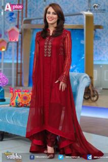 Farah Hussain feet photo 18