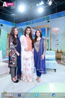 Farah Hussain feet photo 15