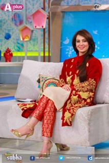 Farah Hussain feet photo 6