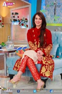 Farah Hussain feet photo 4