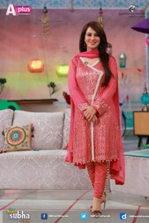 Farah Hussain feet photo 17