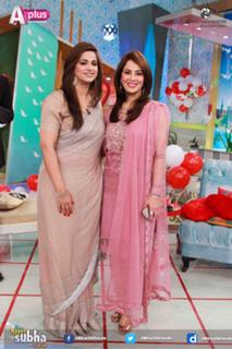 Farah Hussain feet photo 9