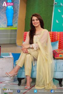Farah Hussain feet photo 20