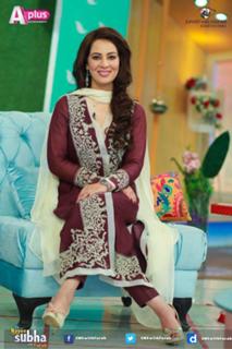 Farah Hussain feet photo 19