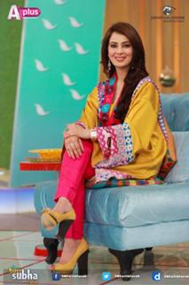 Farah Hussain feet photo 17