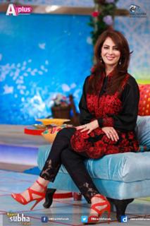 Farah Hussain feet photo 13