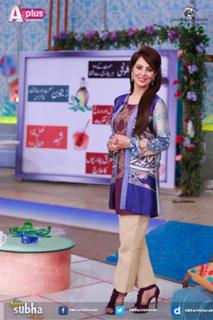 Farah Hussain feet photo 16