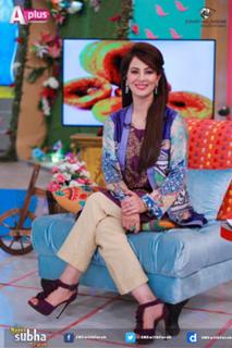 Farah Hussain feet photo 15