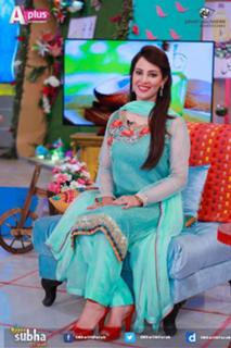 Farah Hussain feet photo 9