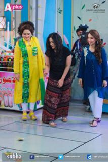 Farah Hussain feet photo 16