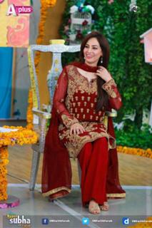 Farah Hussain feet photo 4