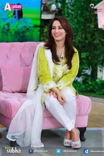Farah Hussain feet photo 16