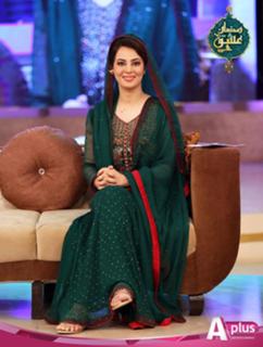 Farah Hussain feet photo 19
