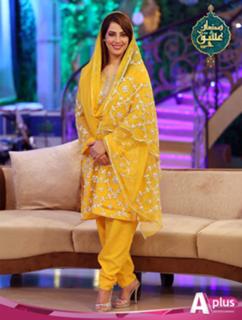 Farah Hussain feet photo 17