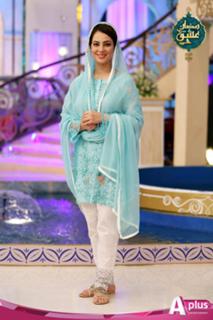 Farah Hussain feet photo 16