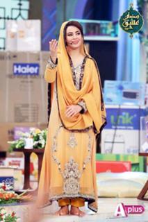 Farah Hussain feet photo 6
