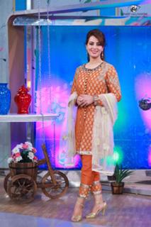 Farah Hussain feet photo 2