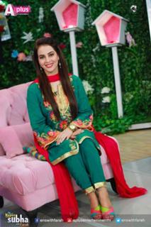 Farah Hussain feet photo 11