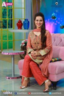 Farah Hussain feet photo 9