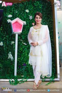 Farah Hussain feet photo 3