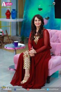 Farah Hussain feet photo 20