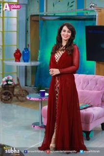 Farah Hussain feet photo 19