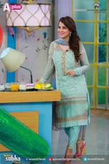 Farah Hussain feet photo 16