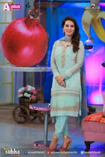 Farah Hussain feet photo 15