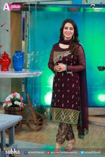 Farah Hussain feet photo 13