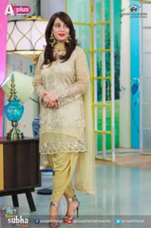 Farah Hussain feet photo 10