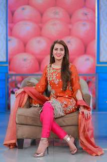 Farah Hussain feet photo 3