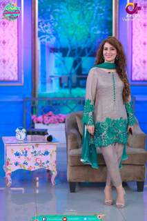 Farah Hussain feet photo 15