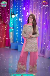 Farah Hussain feet photo 20