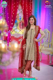 Farah Hussain feet photo 14
