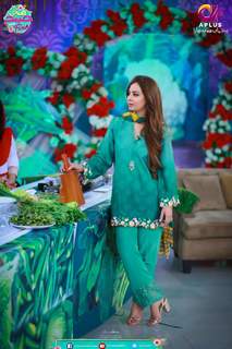 Farah Hussain feet photo 20