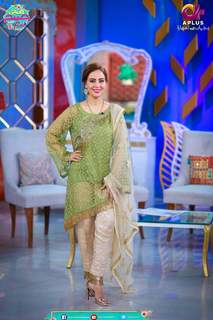 Farah Hussain feet photo 17
