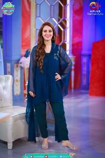 Farah Hussain feet photo 13